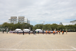 �A���^����Q