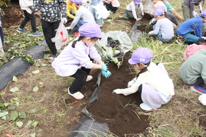 �������ق�P