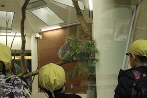 �Q�N���Z�O�w�K�P