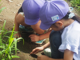 1年生校外学習4